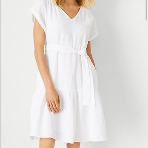 Ann Taylor Gauze Pocket Flare Dress